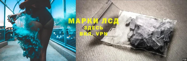 прущие грибы Вязники