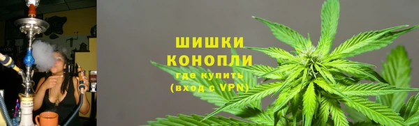 прущие грибы Вязники