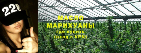 прущие грибы Вязники