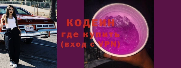 прущие грибы Вязники