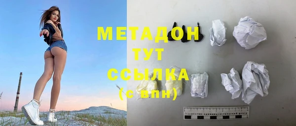 прущие грибы Вязники