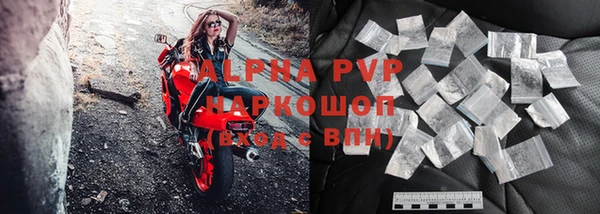 прущие грибы Вязники