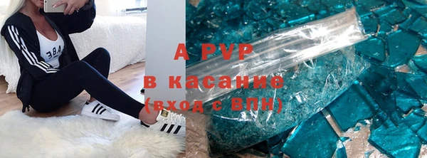 прущие грибы Вязники
