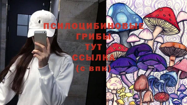 спайс Вяземский