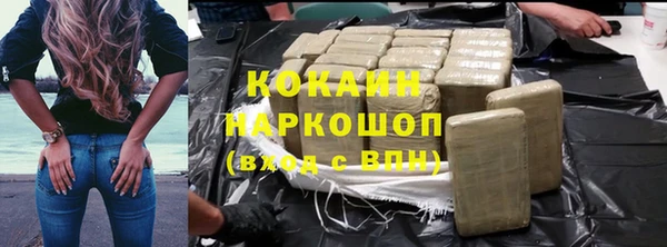 прущие грибы Вязники