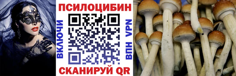 Псилоцибиновые грибы Psilocybe  Купить закладки  Сольвычегодск 
